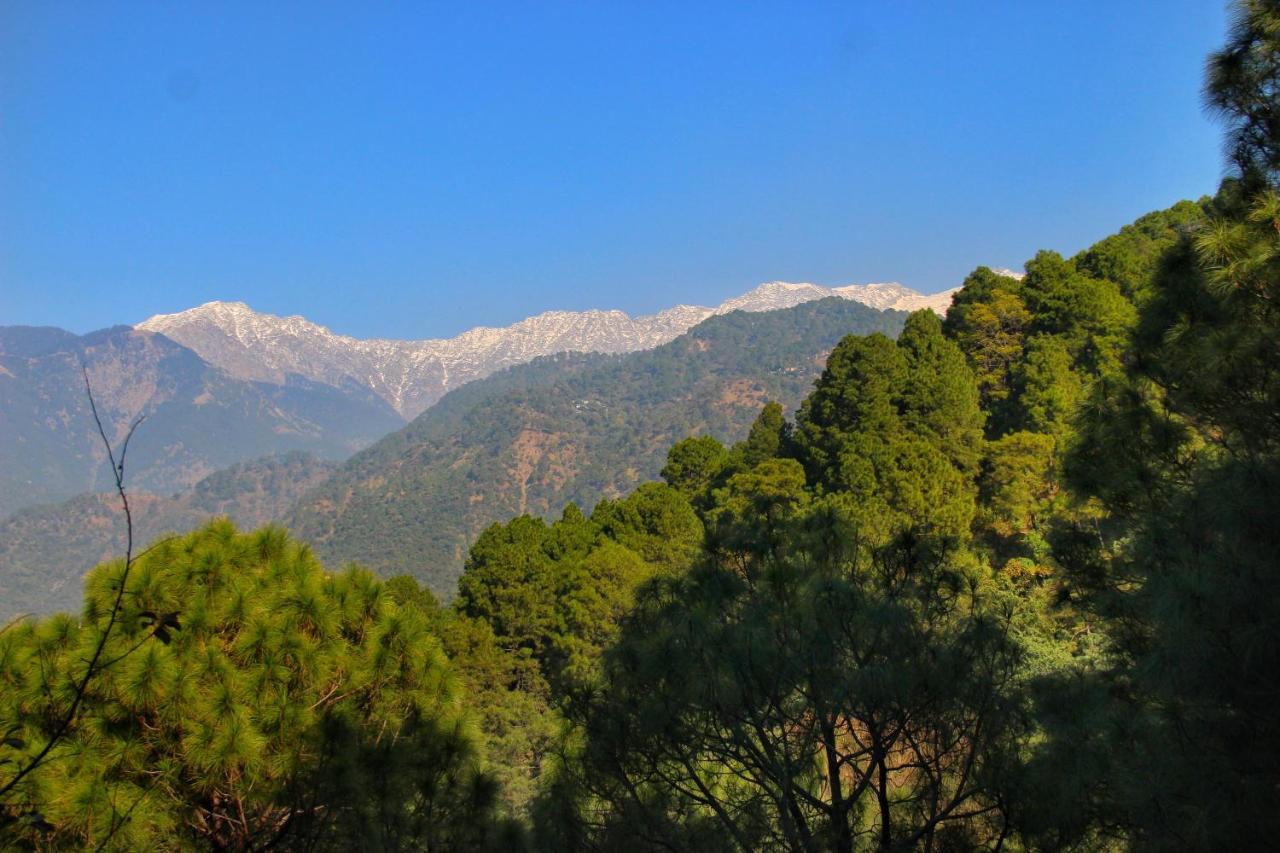 Rendezvous Resort Dharamshala Luaran gambar