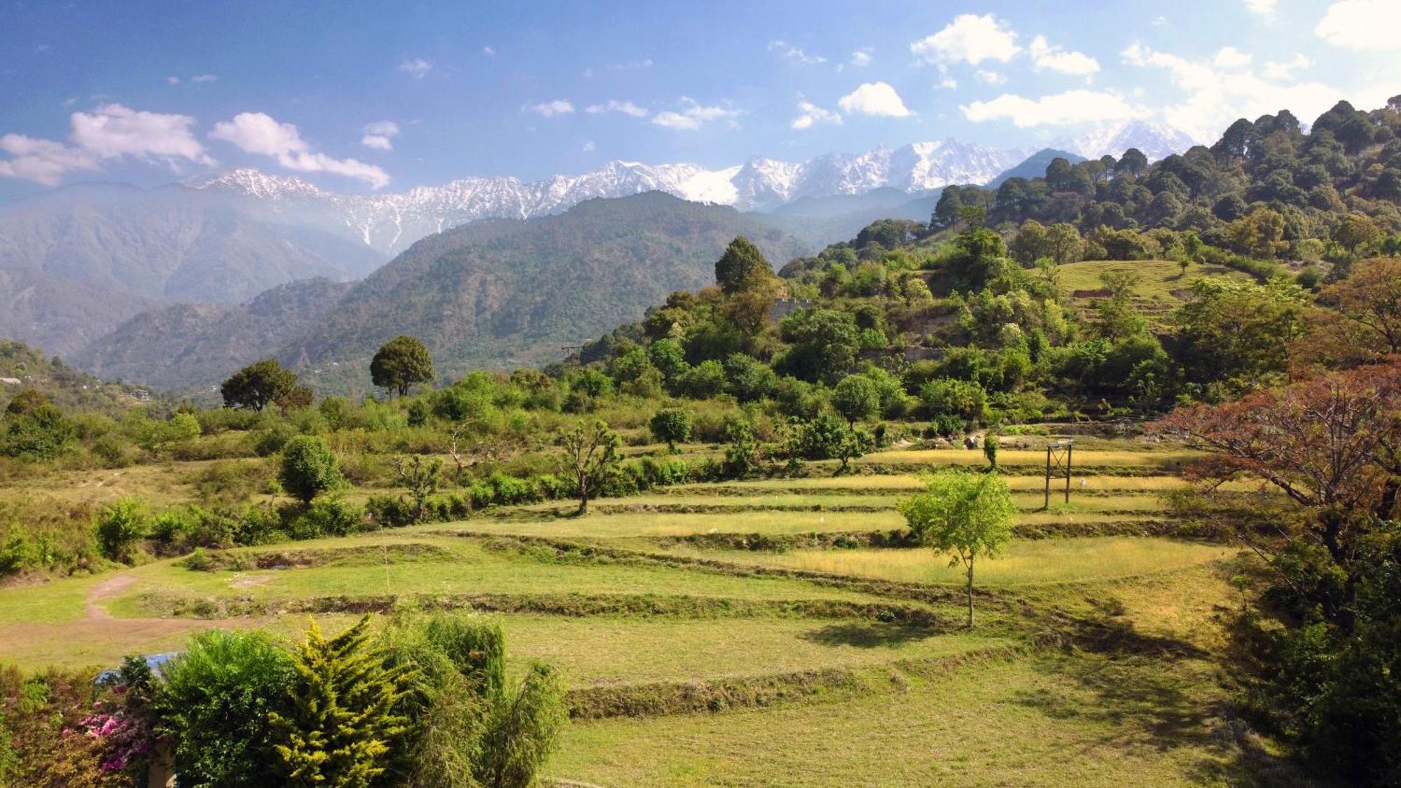 Rendezvous Resort Dharamshala Luaran gambar